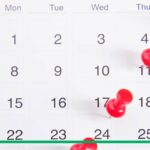 Cuántas semanas tiene un año