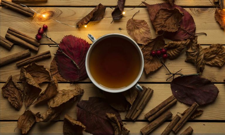 Ayahuasca Te Alucinogeno Que Es