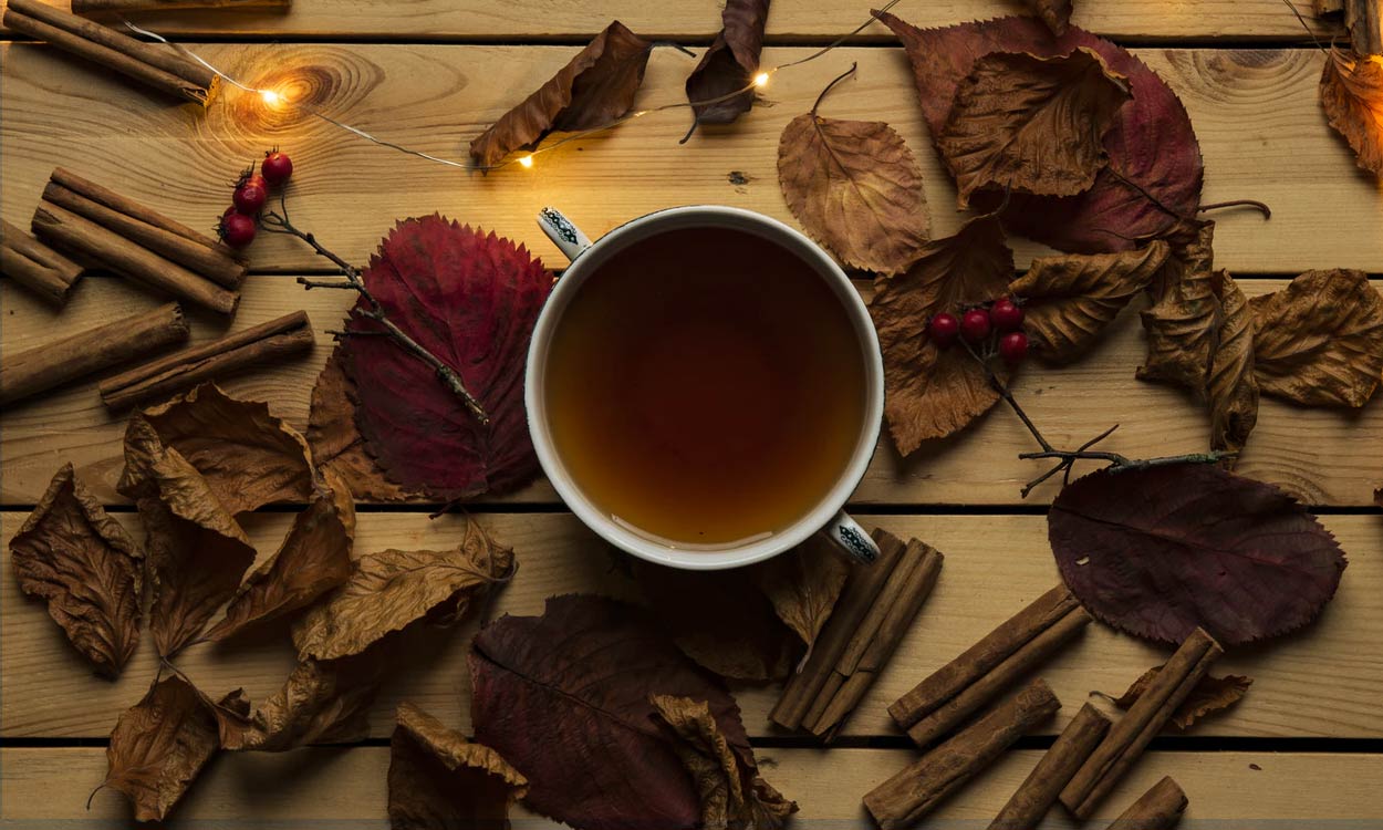 Ayahuasca Te Alucinogeno Que Es