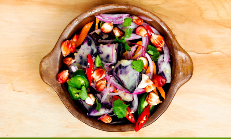 Guía de nutrición de precisión con SeCalcula