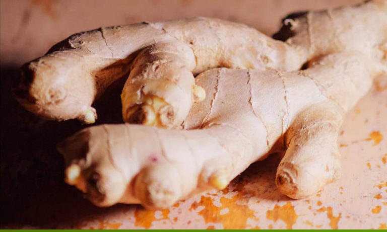 Los beneficios del jengibre para las mujeres embarazadas