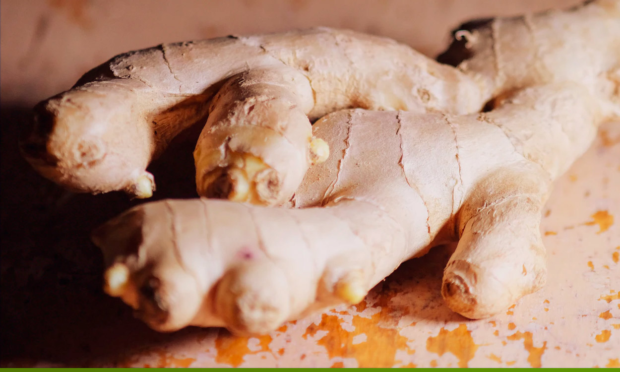 Los beneficios del jengibre para las mujeres embarazadas