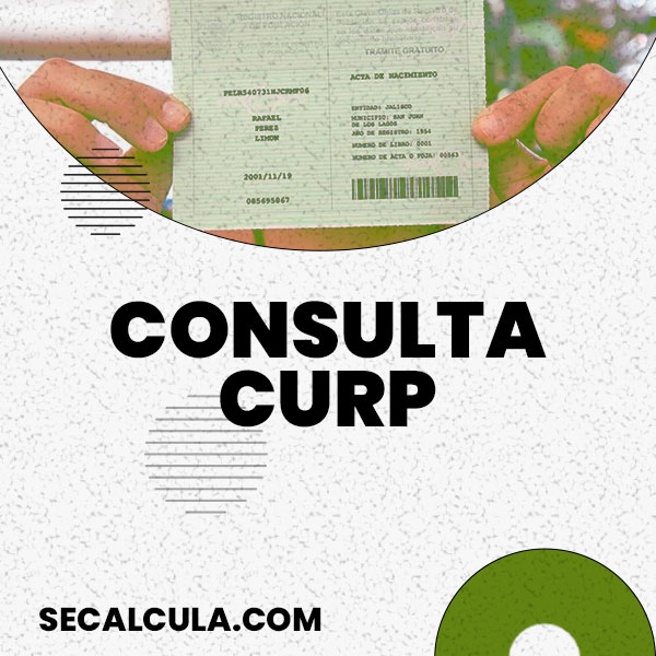 Consulta Curp Gratis