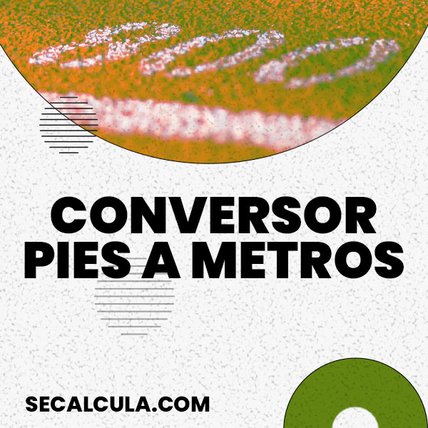 Conversor de Pies a Metros Online y Gratis