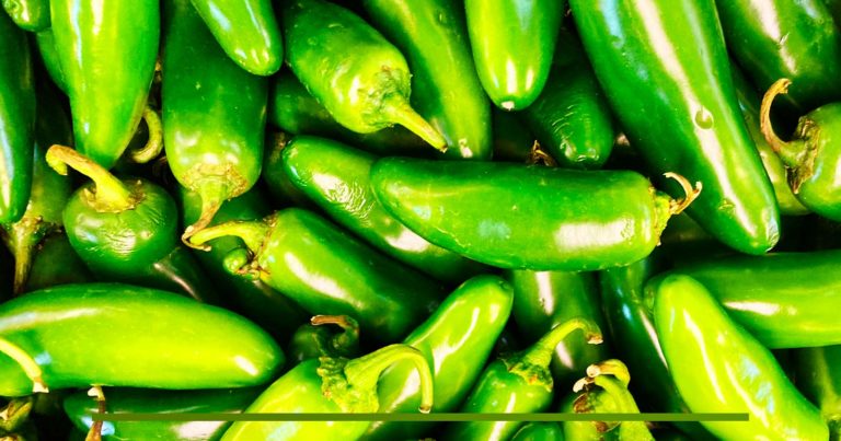 ¿Qué es el Chile Verde? + Receta de Chile Verde