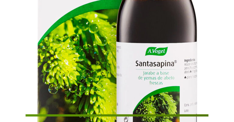 Santasapina