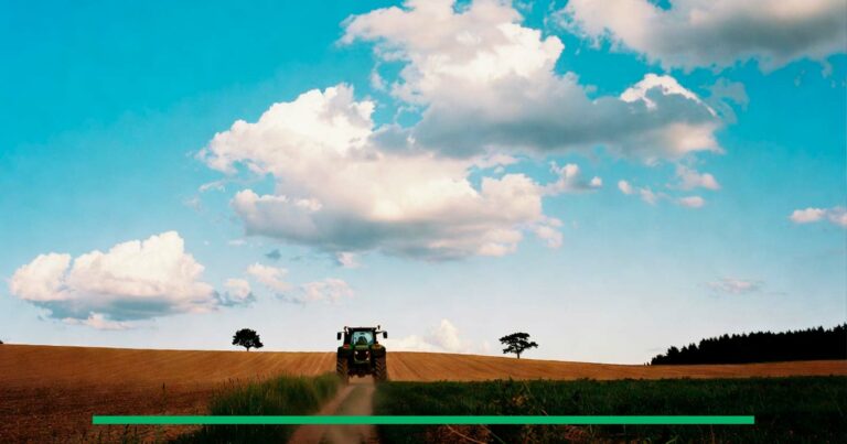 Cuanto Es Una Hectarea