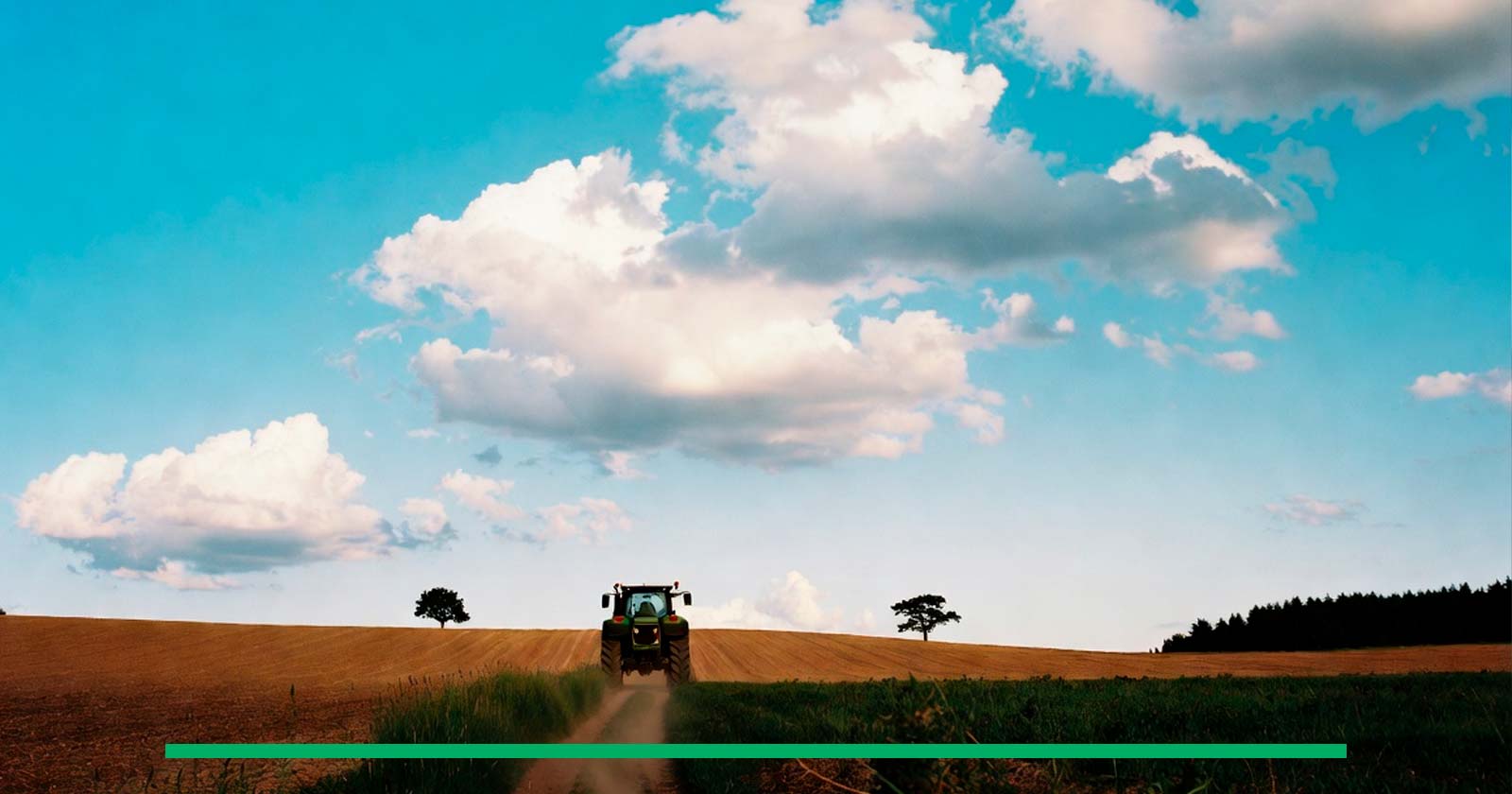 Cuanto Es Una Hectarea